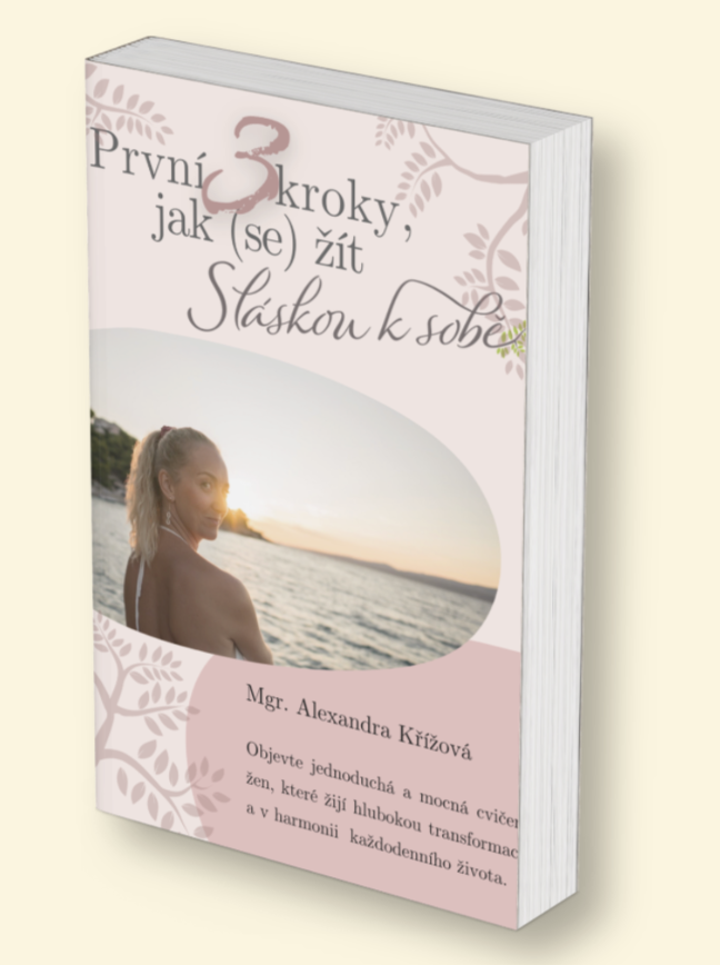 Snímek obrazovky 2026-09-21 v 9.57.32 e-book zdarma